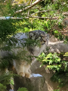那須どうぶつ王国に投稿された画像（2021/3/3）