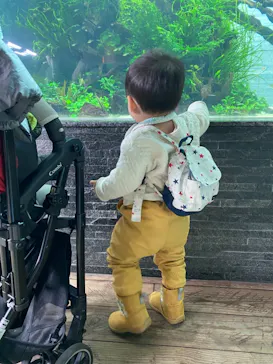 すみだ水族館に投稿された画像（2021/3/3）