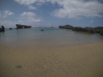 武藤潜水に投稿された画像（2021/3/3）