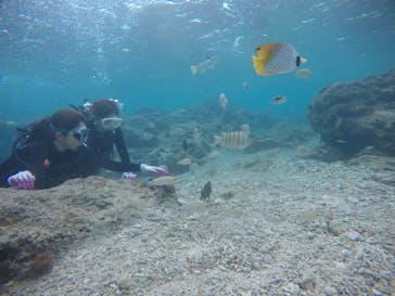 武藤潜水に投稿された画像（2021/3/3）