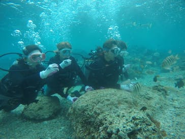 武藤潜水に投稿された画像（2021/3/3）