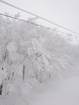 斑尾高原スキー場に投稿された画像（2021/3/3）