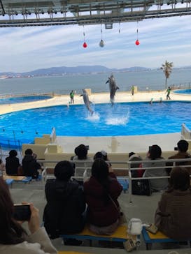 マリンワールド海の中道に投稿された画像（2021/3/3）