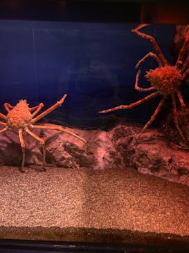 マリンワールド海の中道に投稿された画像（2021/3/3）