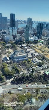 東京タワーに投稿された画像（2021/3/3）