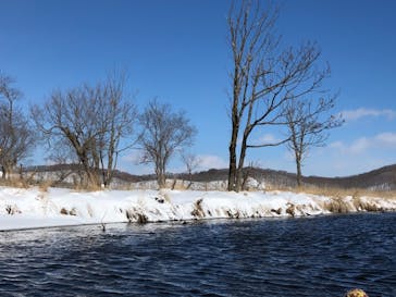 レイクサイドとうろに投稿された画像（2021/3/3）