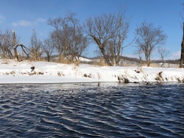 レイクサイドとうろに投稿された画像（2021/3/3）