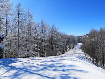 やぶはら高原スキー場に投稿された画像（2021/3/3）