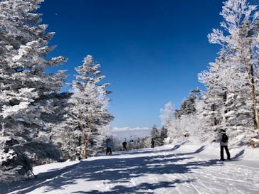 志賀高原マウンテンリゾートに投稿された画像（2021/3/3）