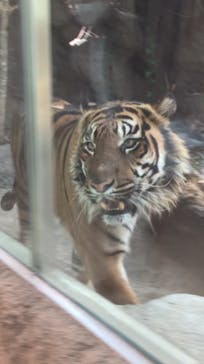 神戸どうぶつ王国に投稿された画像（2021/3/3）