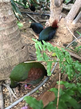 神戸どうぶつ王国に投稿された画像（2021/3/3）