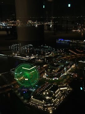 横浜ランドマークタワー 69階展望フロア スカイガーデンに投稿された画像（2021/3/3）