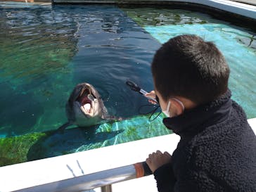 横浜・八景島シーパラダイスに投稿された画像（2021/3/4）
