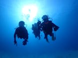R-MATES Okinawa Diving Club（アールメイツ オキナワ ダイビング クラブ）に投稿された画像（2021/3/4）
