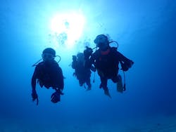 R-MATES Okinawa Diving Club（アールメイツ オキナワ ダイビング クラブ）に投稿された画像（2021/3/4）