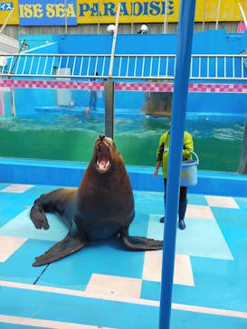 ゼロ距離水族館 伊勢シーパラダイスに投稿された画像（2021/3/4）