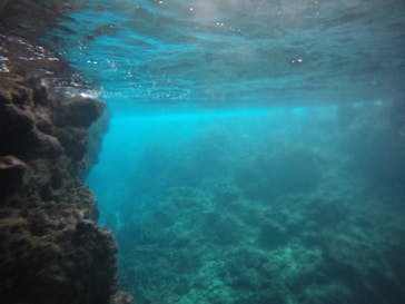 武藤潜水に投稿された画像（2021/3/4）