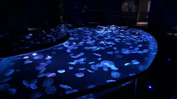 すみだ水族館に投稿された画像（2021/3/4）