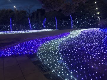 江の島シーキャンドルに投稿された画像（2021/3/4）