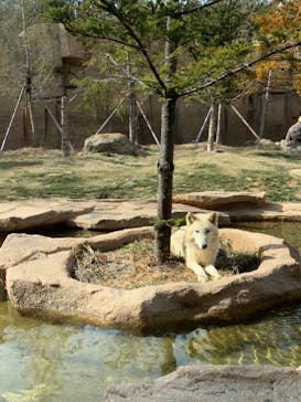 那須どうぶつ王国に投稿された画像（2021/3/4）