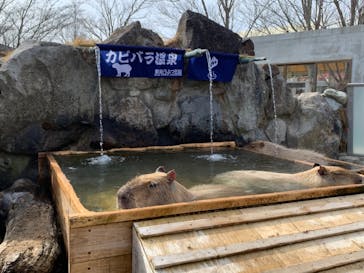 那須どうぶつ王国に投稿された画像（2021/3/4）