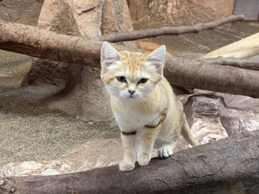 那須どうぶつ王国に投稿された画像（2021/3/4）