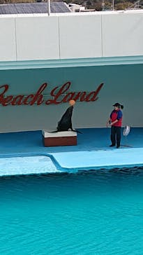 南知多ビーチランド＆南知多おもちゃ王国に投稿された画像（2021/3/4）