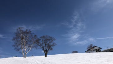 野沢温泉スキー場に投稿された画像（2021/3/5）