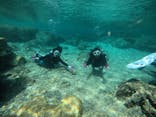 武藤潜水に投稿された画像（2021/3/5）