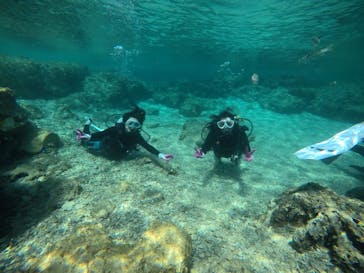 武藤潜水に投稿された画像（2021/3/5）