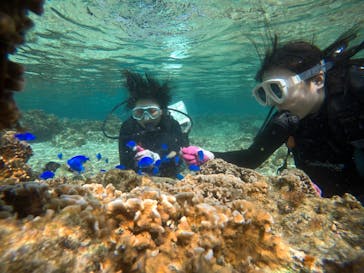 武藤潜水に投稿された画像（2021/3/5）