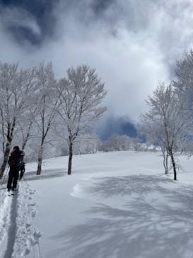野沢温泉スキー場に投稿された画像（2021/3/5）