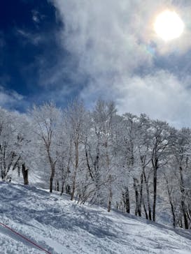 野沢温泉スキー場に投稿された画像（2021/3/5）