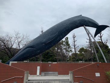 国立科学博物館に投稿された画像（2021/3/5）