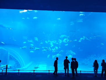 沖縄美ら海水族館に投稿された画像（2021/3/5）