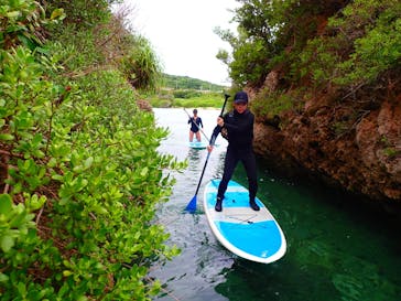 宮古島 ADVENTURE PiPi（ミヤコジマ アドベンチャー ピピ）に投稿された画像（2021/3/5）
