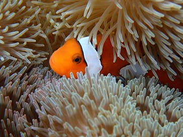 宮古島 ADVENTURE PiPi（ミヤコジマ アドベンチャー ピピ）に投稿された画像（2021/3/5）