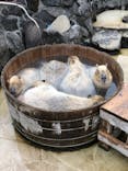伊豆シャボテン動物公園に投稿された画像（2021/3/5）