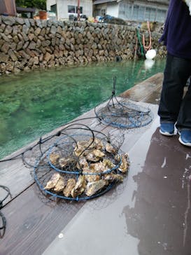 真珠工房 真珠の里に投稿された画像（2021/3/5）