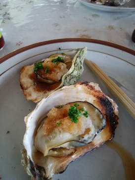 真珠工房 真珠の里に投稿された画像（2021/3/5）