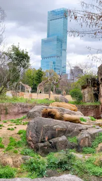 天王寺動物園に投稿された画像（2021/3/6）