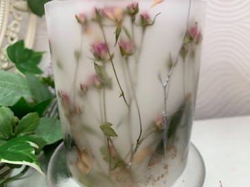 ずこうしつ〜sugamo〜に投稿された画像（2021/3/6）