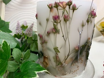 ずこうしつ〜sugamo〜に投稿された画像（2021/3/6）