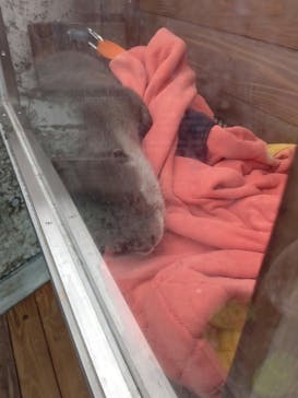 大分マリーンパレス水族館 「うみたまご」に投稿された画像（2021/3/6）