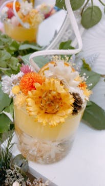 ずこうしつ〜sugamo〜に投稿された画像（2021/3/6）