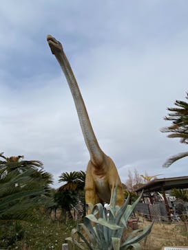 伊豆ぐらんぱる公園に投稿された画像（2021/3/6）