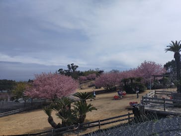 伊豆ぐらんぱる公園に投稿された画像（2021/3/6）