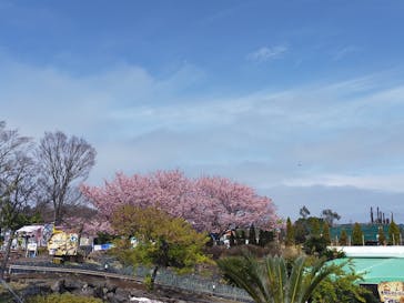 伊豆ぐらんぱる公園に投稿された画像（2021/3/6）