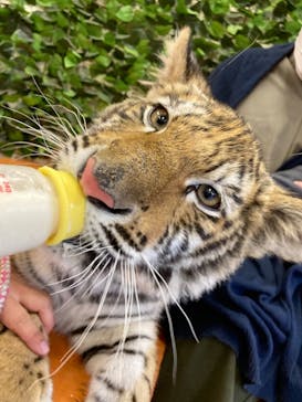 しろとり動物園に投稿された画像（2021/3/6）