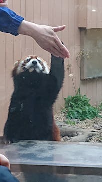 横浜・八景島シーパラダイスに投稿された画像（2021/3/6）